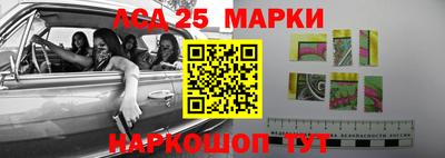 гидропоника Аргун