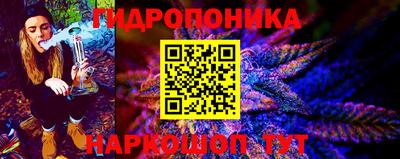 гидра Краснодар