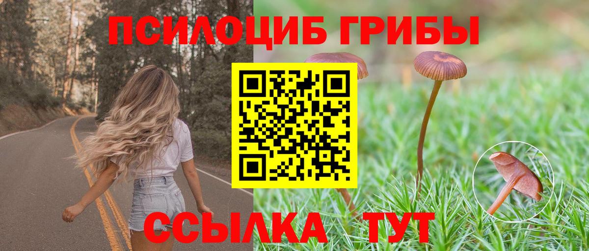 Галлюциногенные грибы Magic Shrooms  Галлюциногенные грибы ЛСД  Кострома 