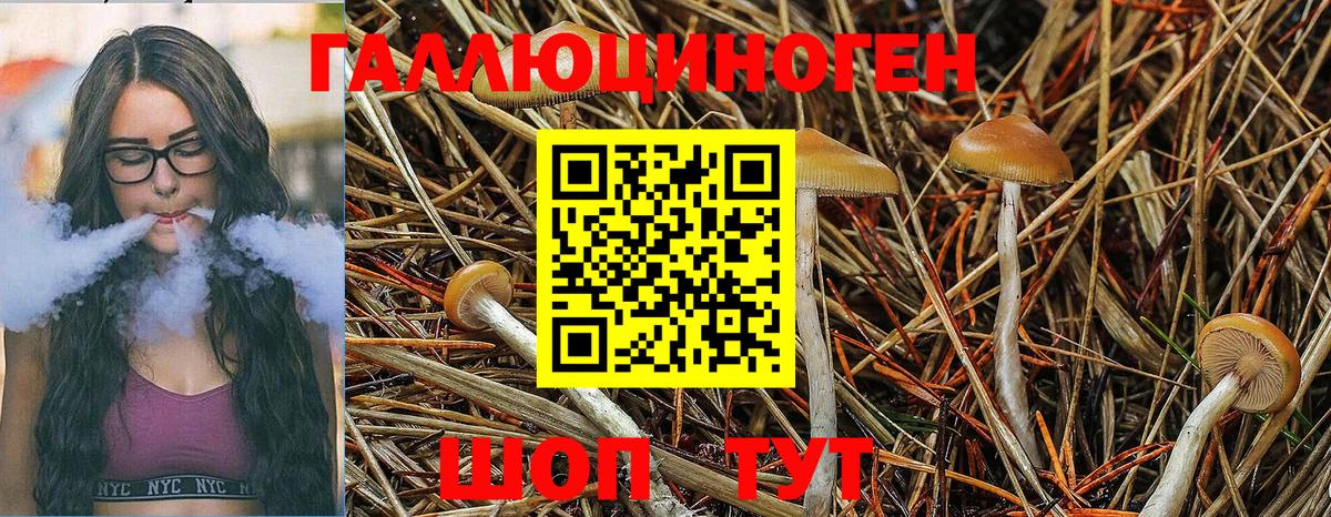 наркота  Псилоцибиновые грибы прущие грибы  Галлюциногенные грибы MAGIC MUSHROOMS  Вход с VPN  Кострома 